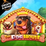 The Dog House